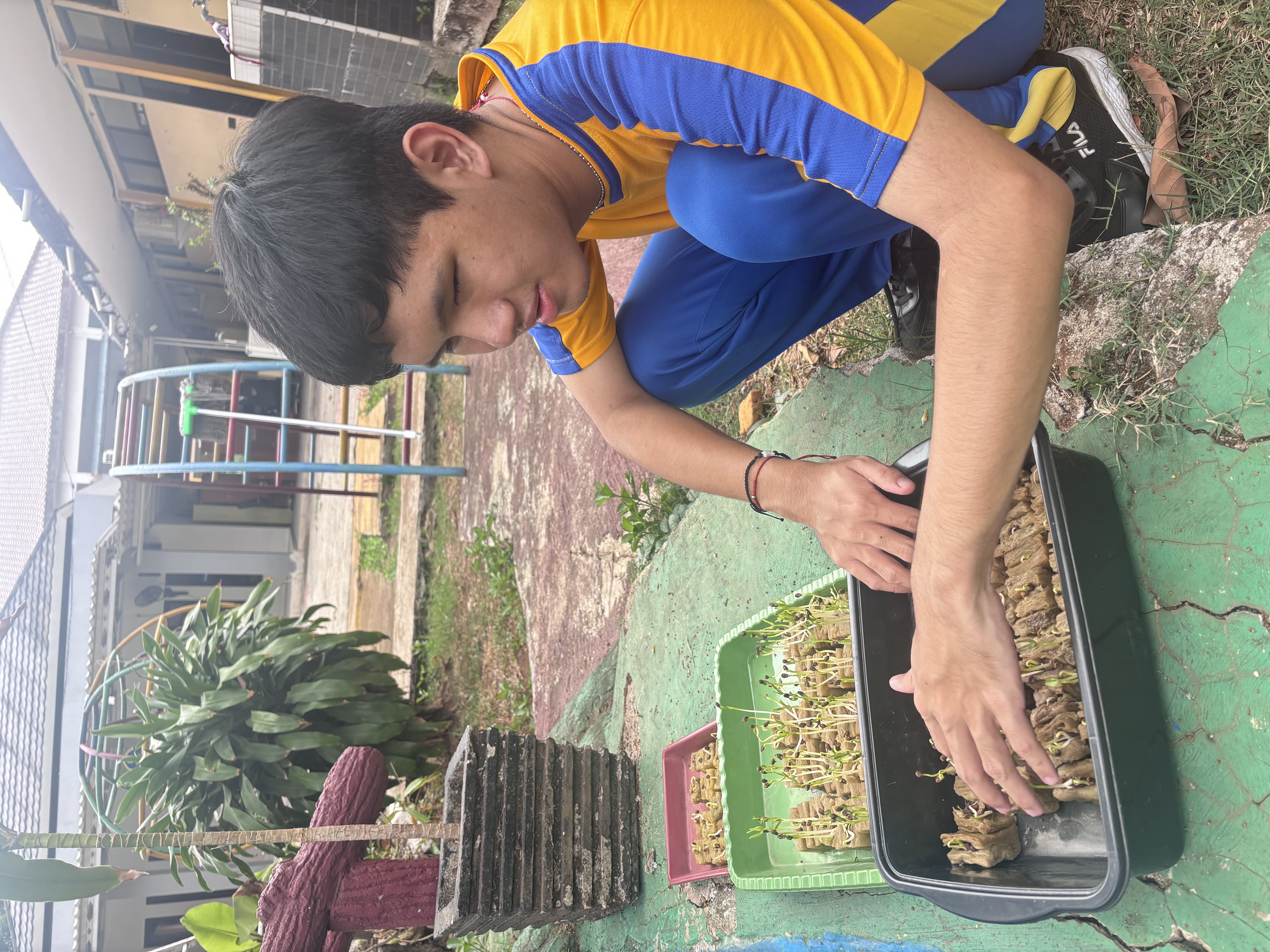 Lahan Urban Farming SLB A Pembina Tingkat Nasional - Gambar 52
