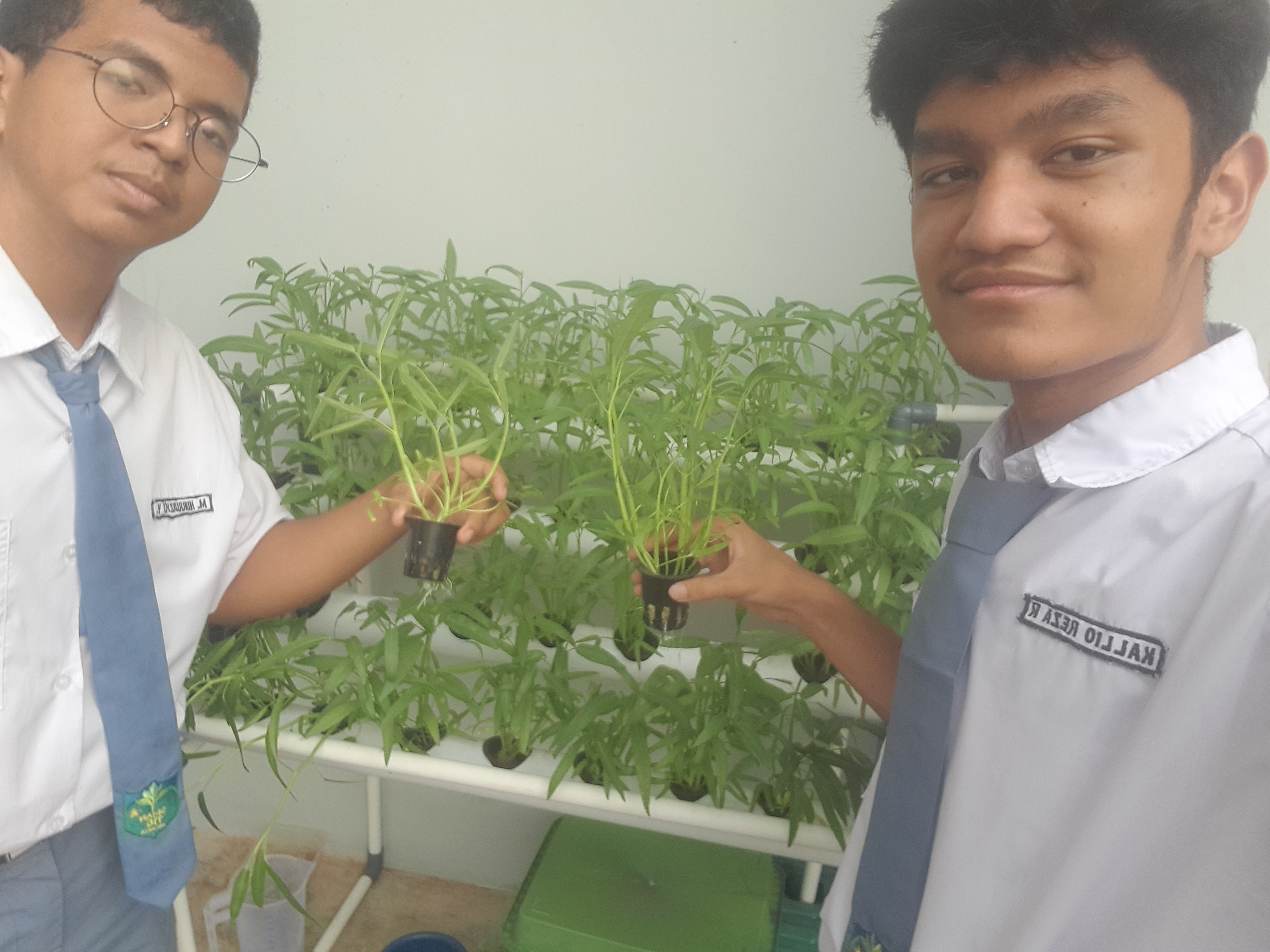 Lahan Urban Farming SMAN 116 Jakarta - Gambar 61