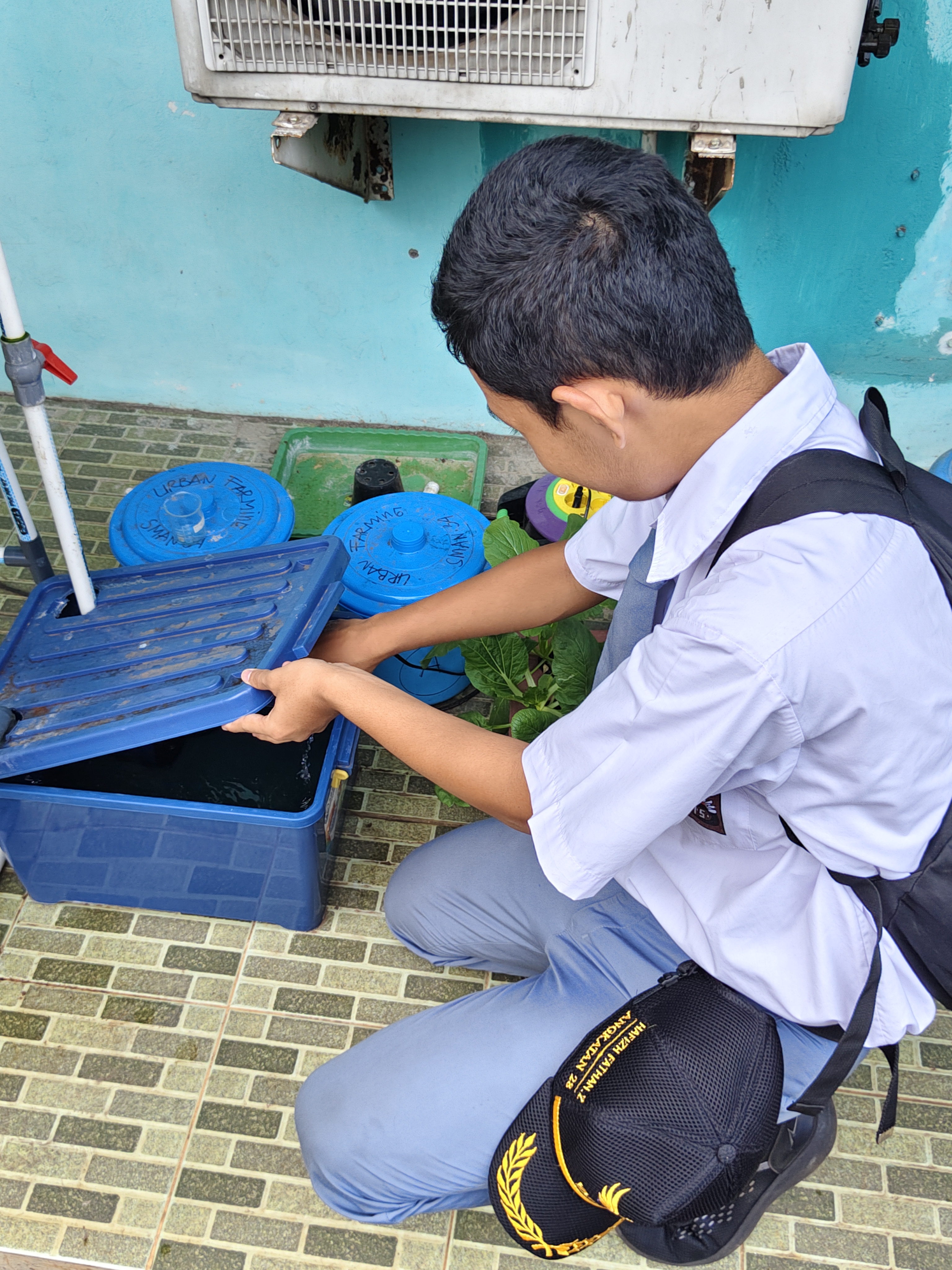 Lahan Urban Farming SMAN 34 Jakarta - Gambar 27