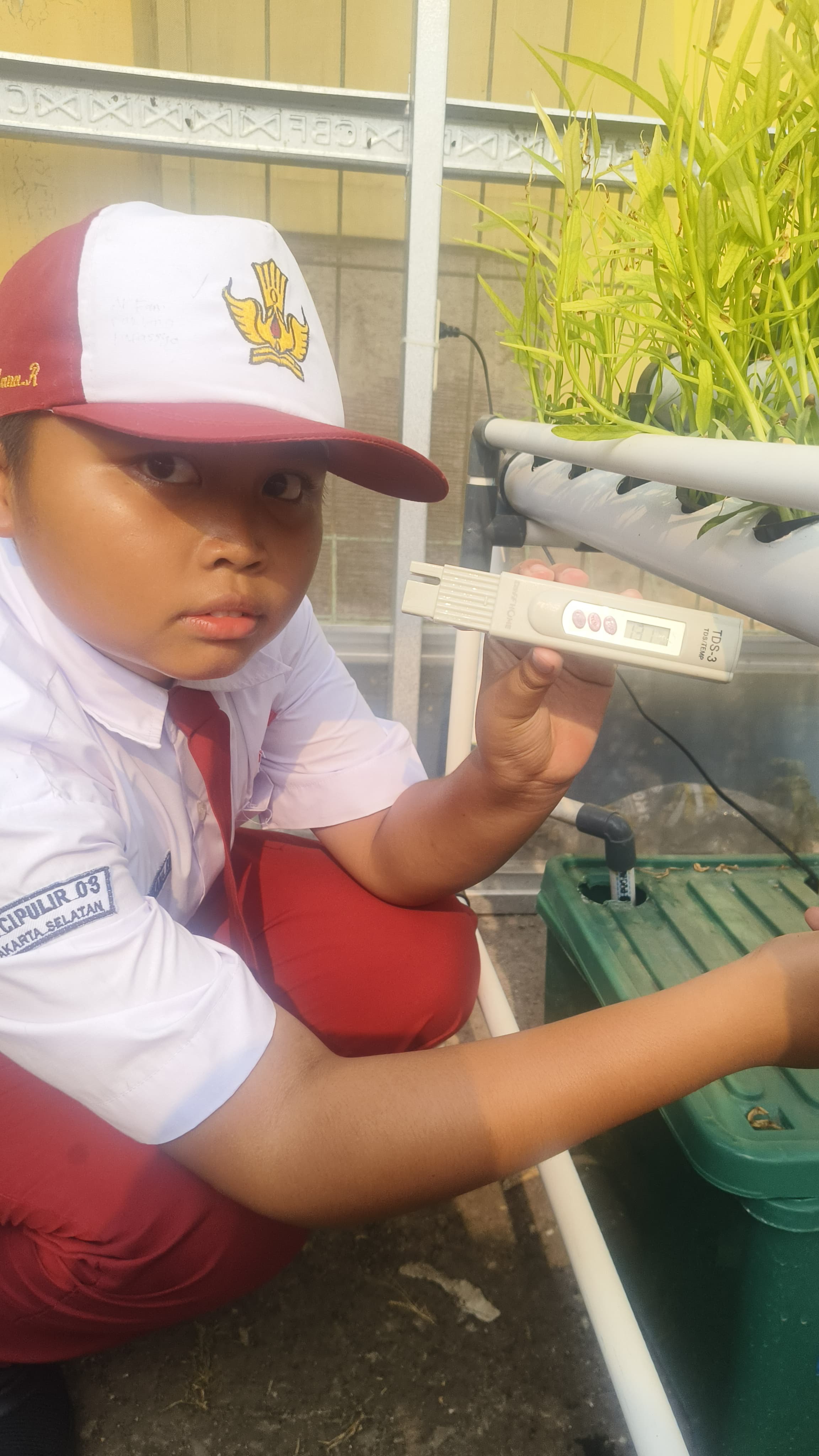 Lahan Urban Farming SDN Cipulir 03 - Gambar 45