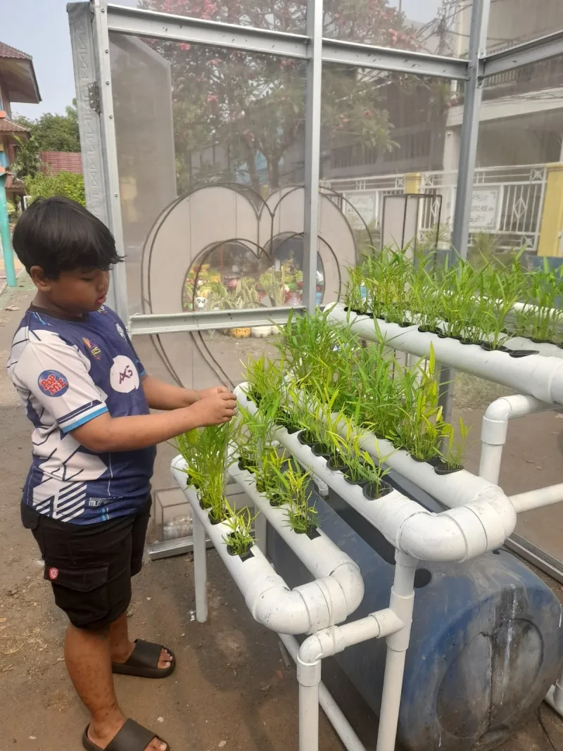 Lahan Urban Farming SDN Cipulir 03 - Gambar 44