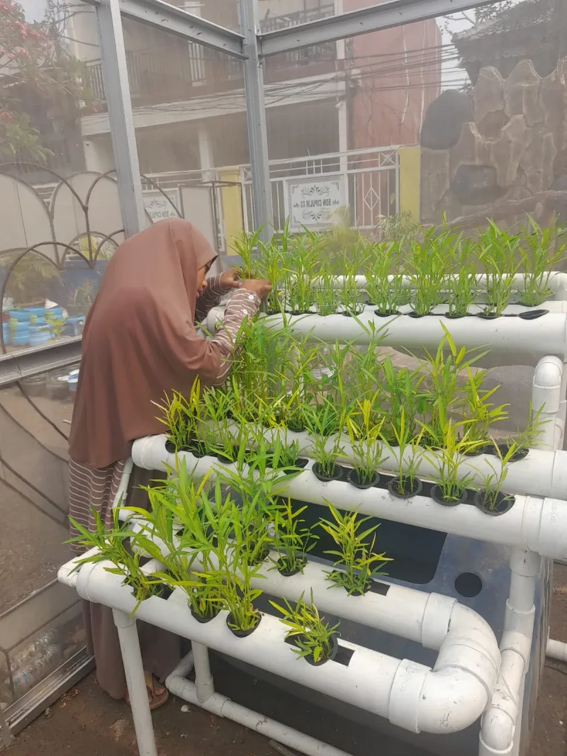 Lahan Urban Farming SDN Cipulir 03 - Gambar 48