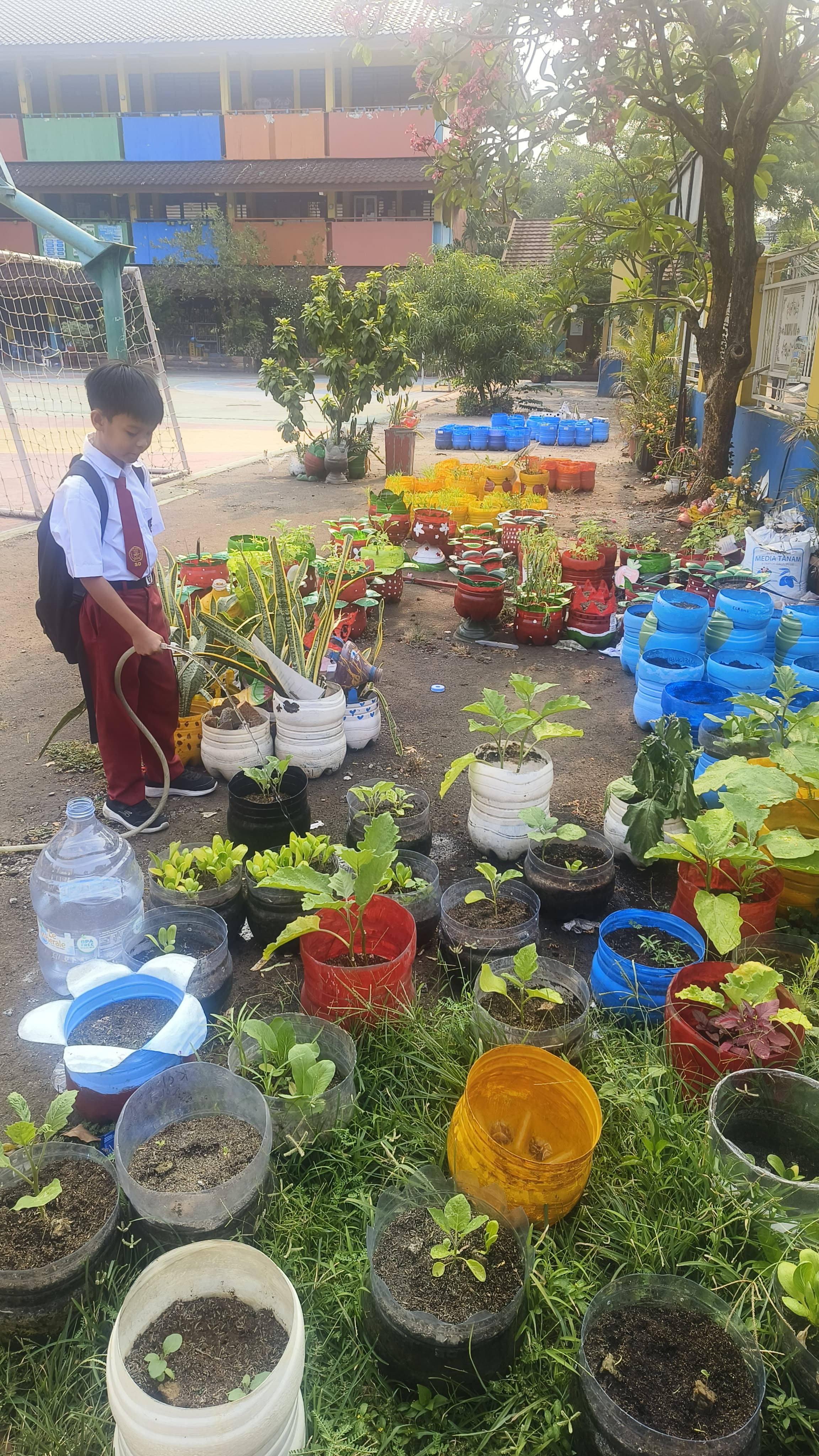 Lahan Urban Farming SDN Cipulir 03 - Gambar 47