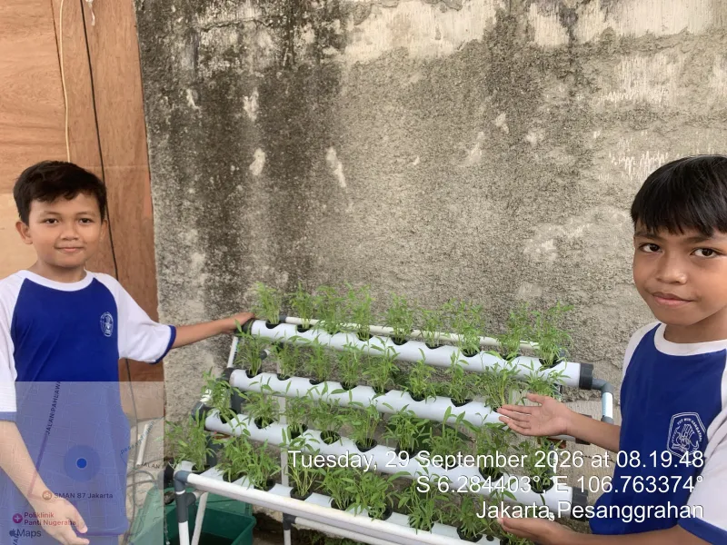 Lahan Urban Farming SDN Bintaro 09 - Gambar 70