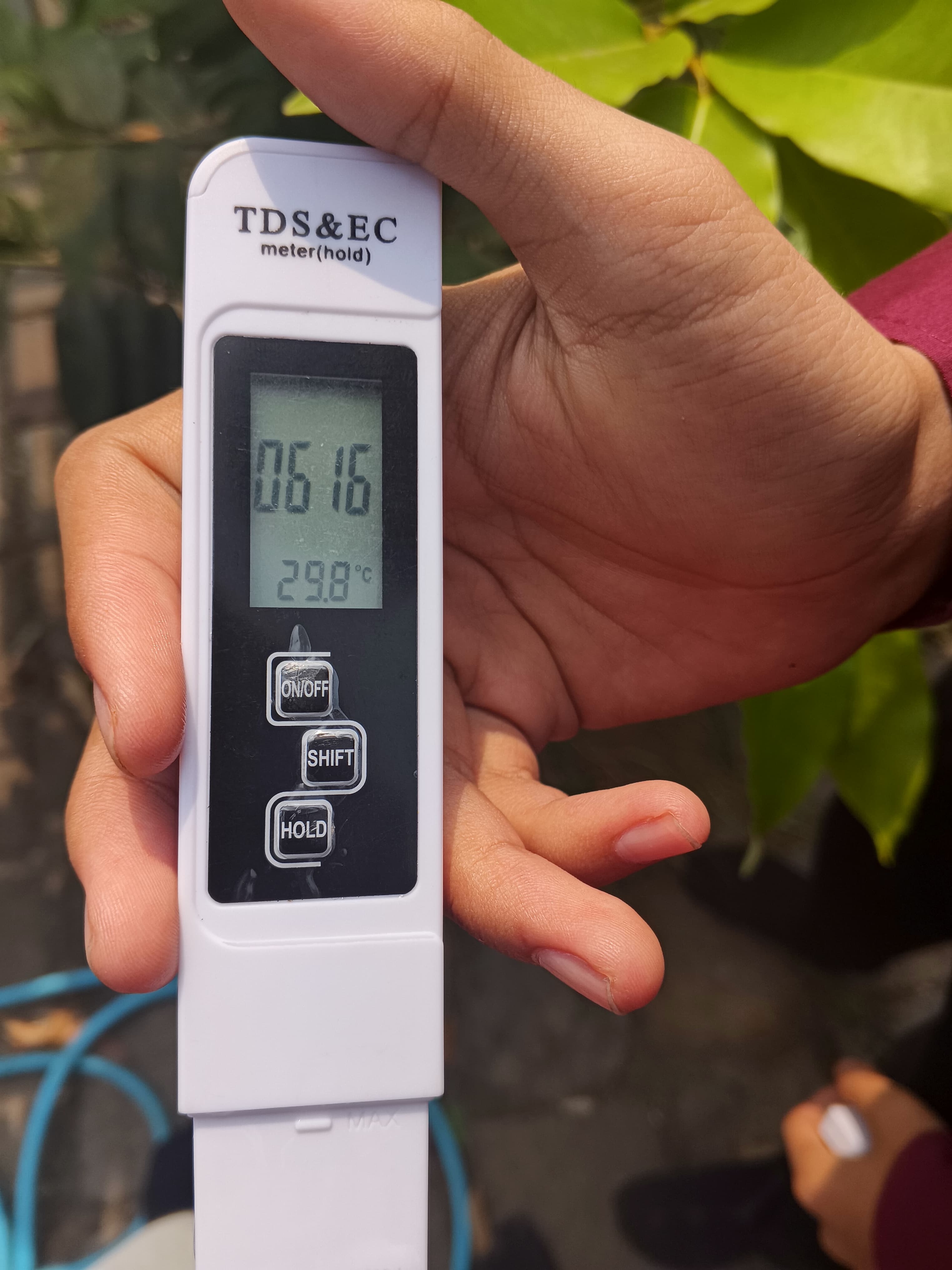 Lahan Urban Farming SMKN 59 Jakarta - Gambar 99