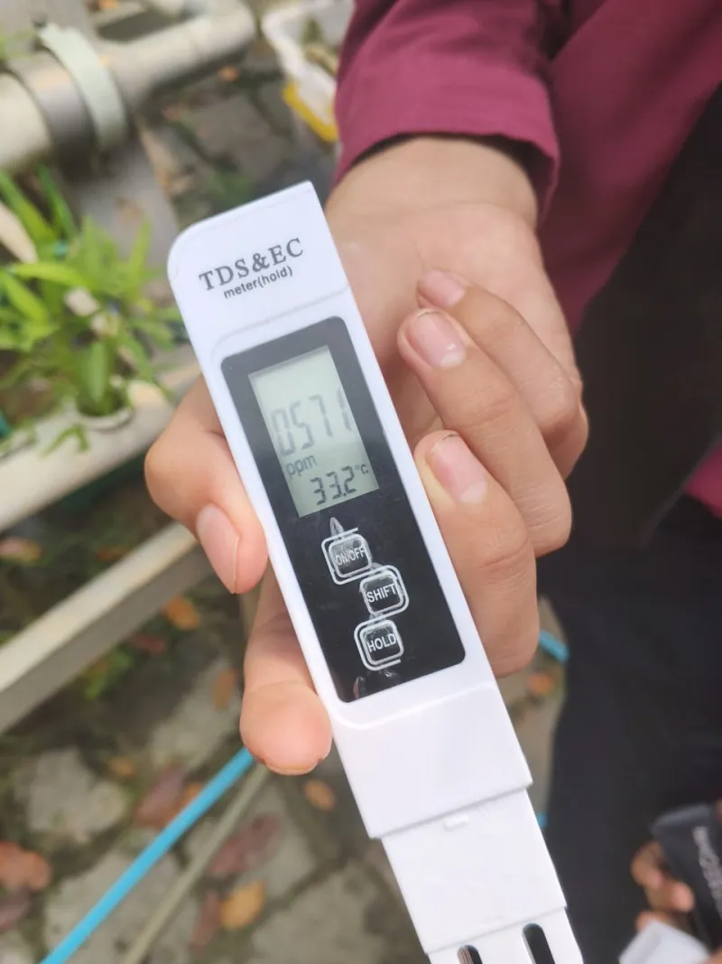 Lahan Urban Farming SMKN 59 Jakarta - Gambar 100