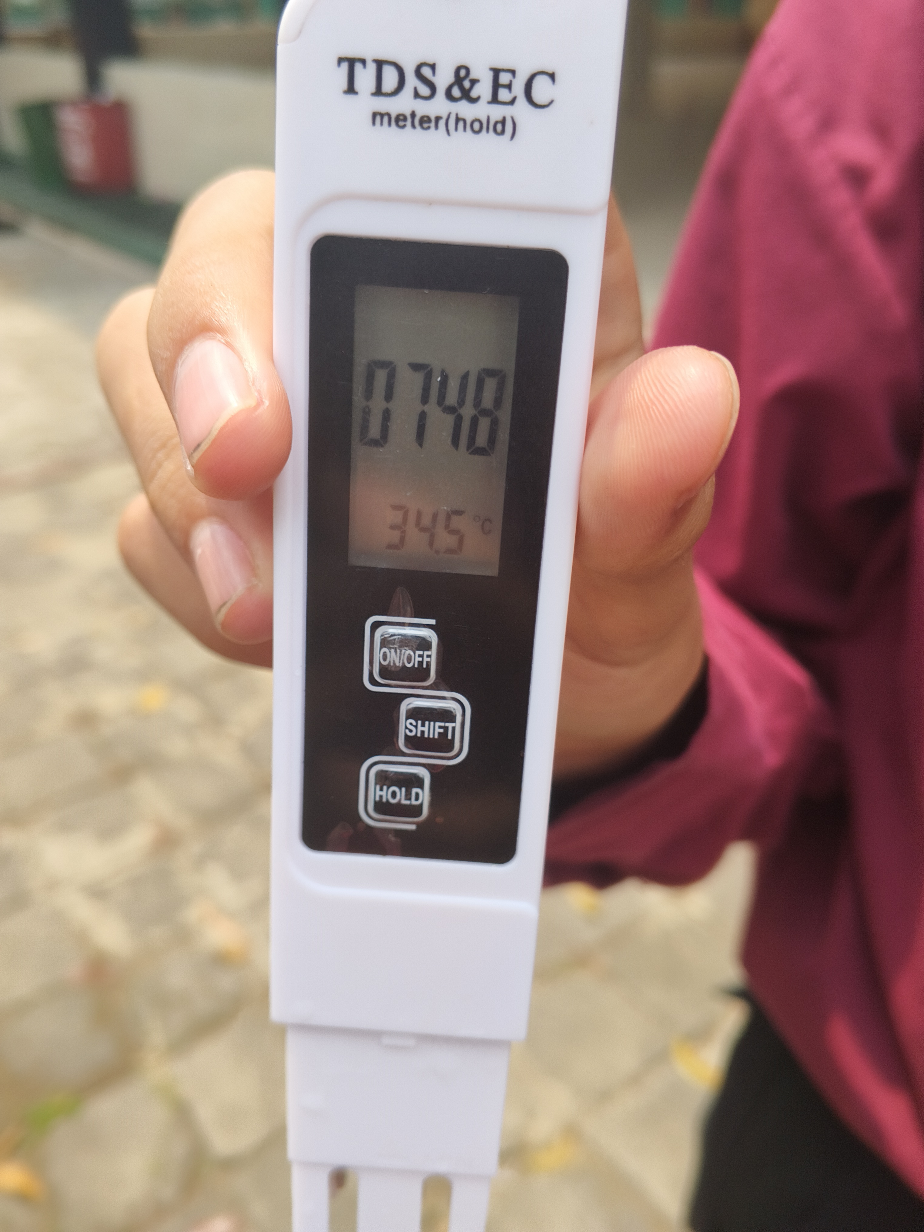 Lahan Urban Farming SMKN 59 Jakarta - Gambar 97