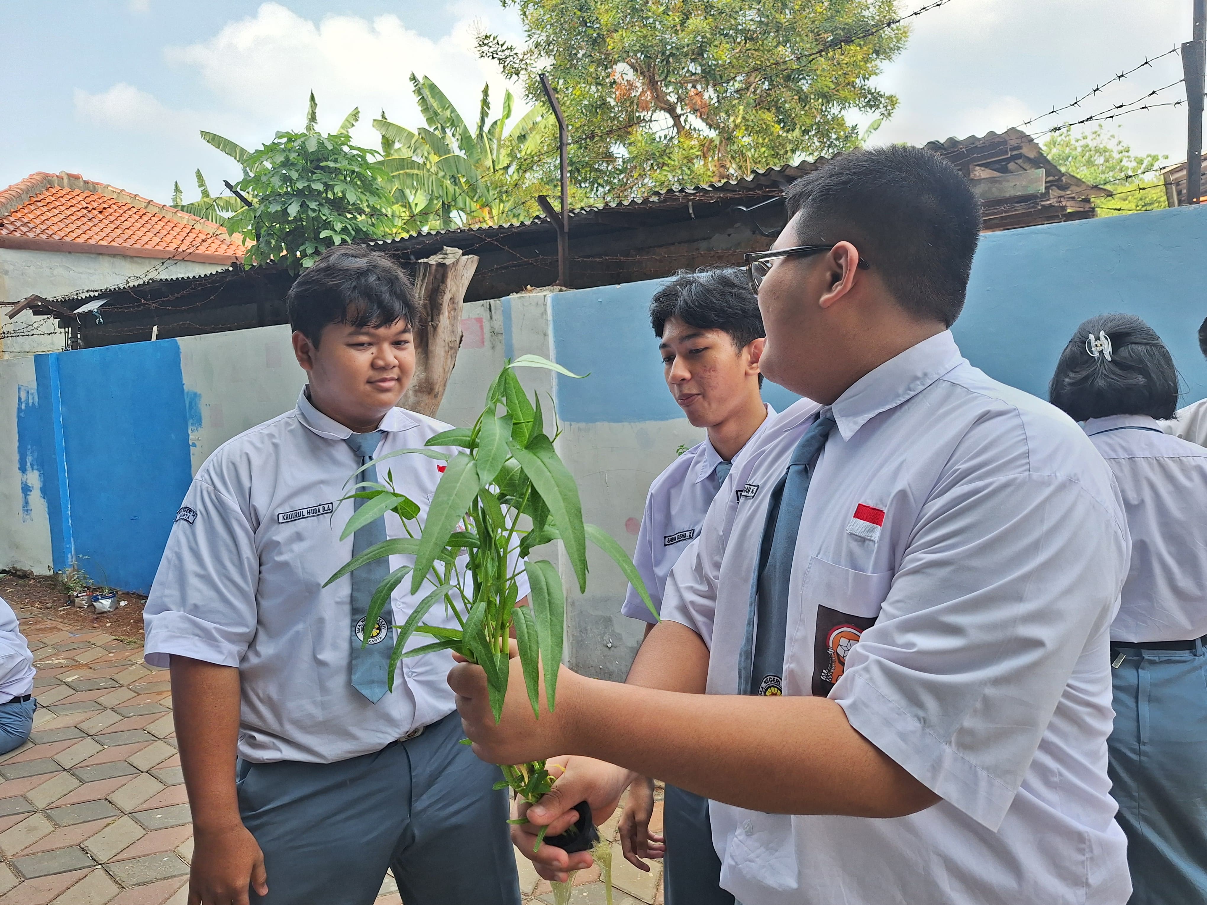 Lahan Urban Farming SMAN 34 Jakarta - Gambar 22