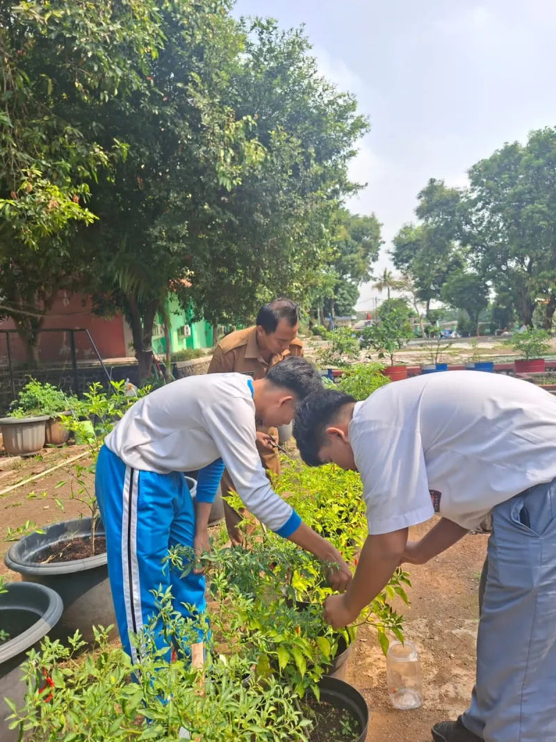 Lahan Urban Farming SMAN 109 Jakarta - Gambar 98