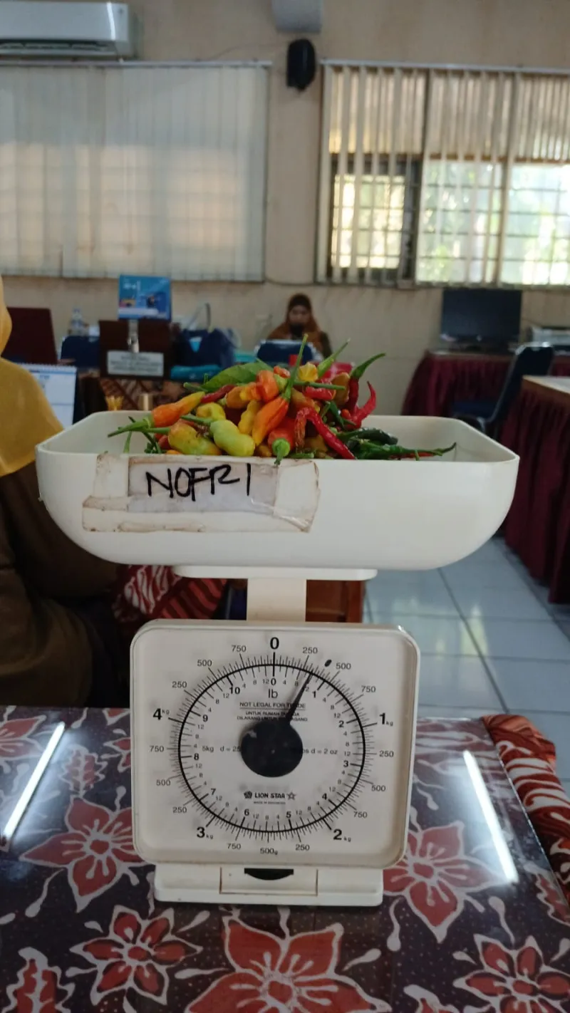 Lahan Urban Farming SMAN 109 Jakarta - Gambar 96