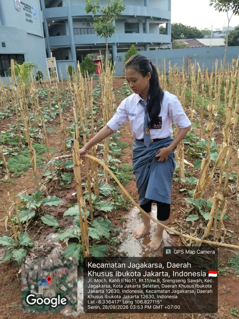 KEBUN SMKN 74 JAGAKARSA JAKARTA SELATAN - Gambar 143