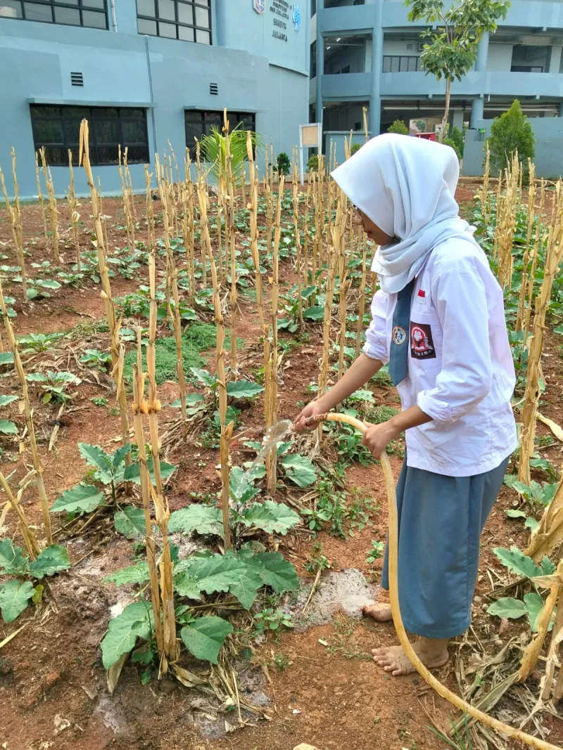 KEBUN SMKN 74 JAGAKARSA JAKARTA SELATAN - Gambar 144