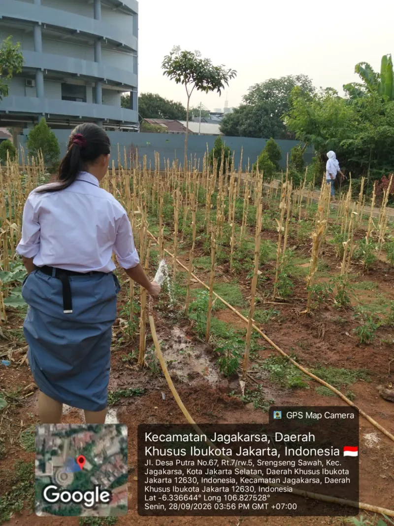 KEBUN SMKN 74 JAGAKARSA JAKARTA SELATAN - Gambar 142