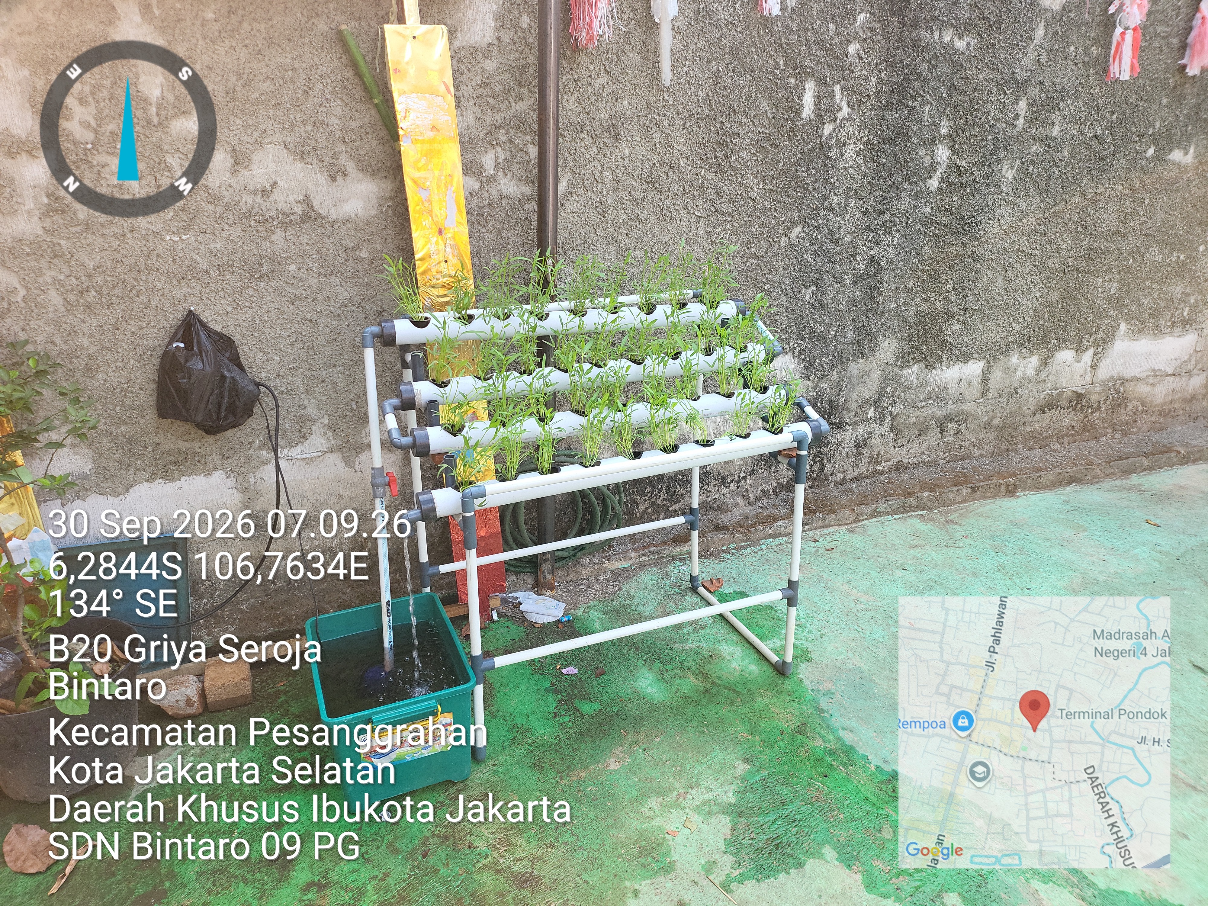 Lahan Urban Farming SDN Bintaro 09 - Gambar 64