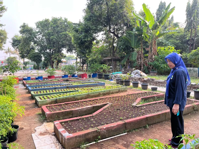 Lahan Urban Farming SMAN 109 Jakarta - Gambar 93