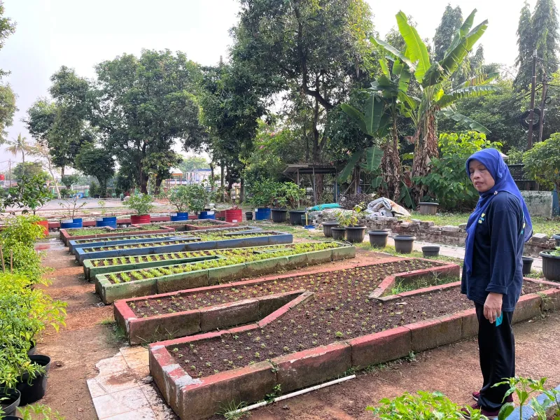 Lahan Urban Farming SMAN 109 Jakarta - Gambar 94