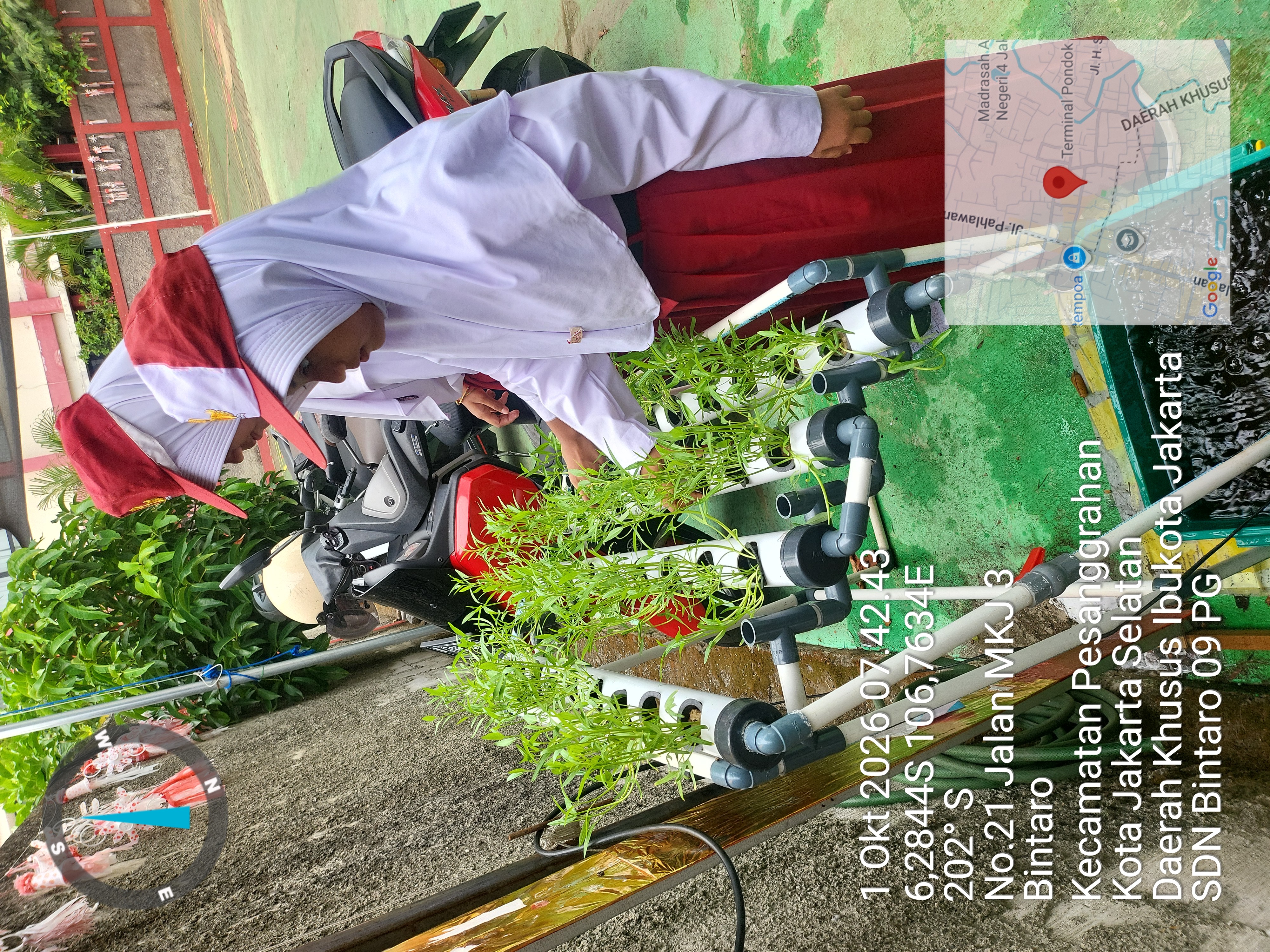 Lahan Urban Farming SDN Bintaro 09 - Gambar 62