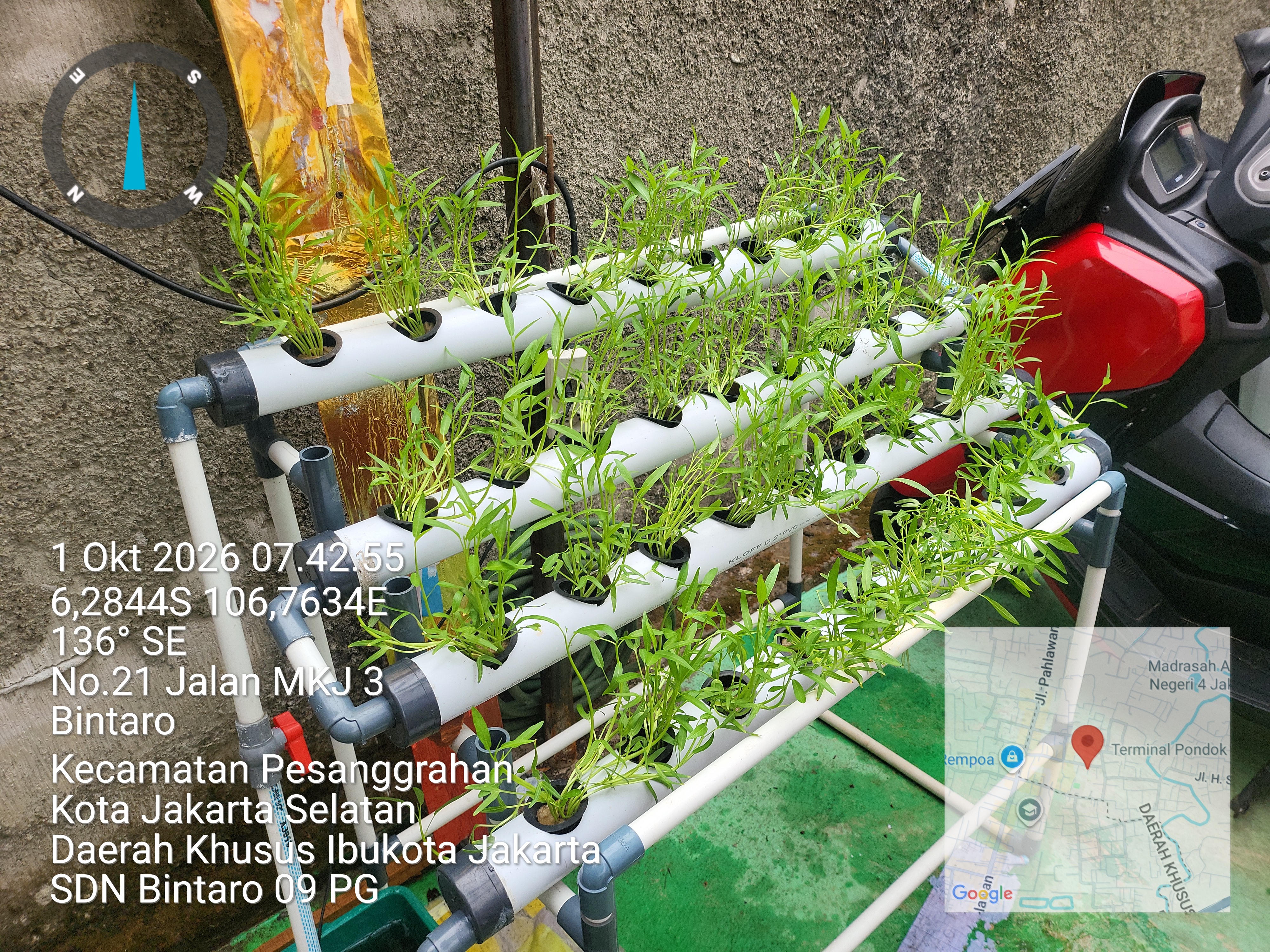 Lahan Urban Farming SDN Bintaro 09 - Gambar 63