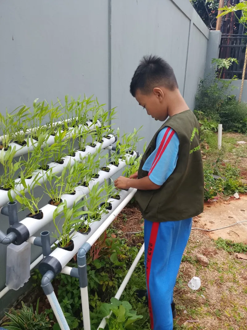 Lahan Urban Farming SDN Cipete Selatan 03 - Gambar 38