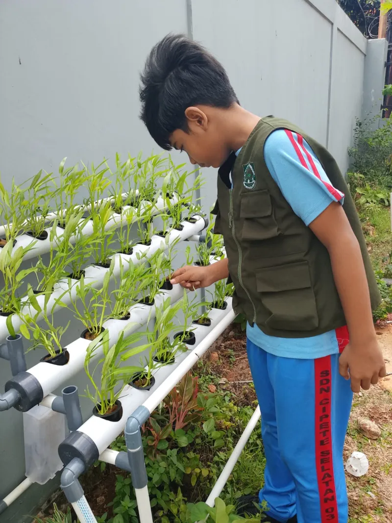 Lahan Urban Farming SDN Cipete Selatan 03 - Gambar 35