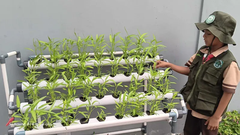 Lahan Urban Farming SDN Cipete Selatan 03 - Gambar 33