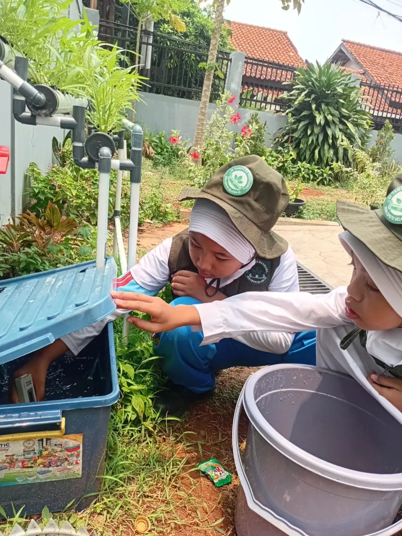 Lahan Urban Farming SDN Cipete Selatan 03 - Gambar 29