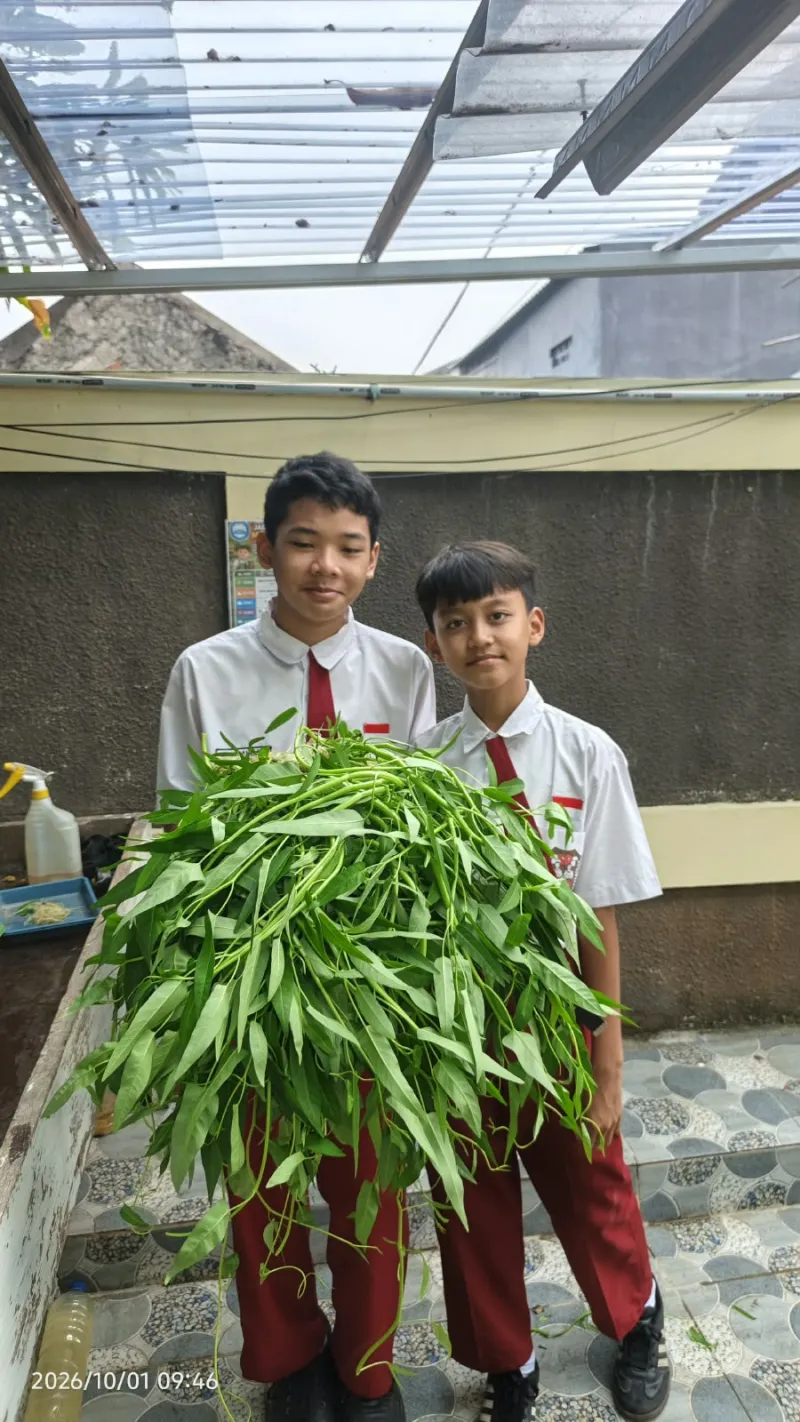 Lahan Urban Farming SDN Lenteng Agung 07 Jakarta - Gambar 36