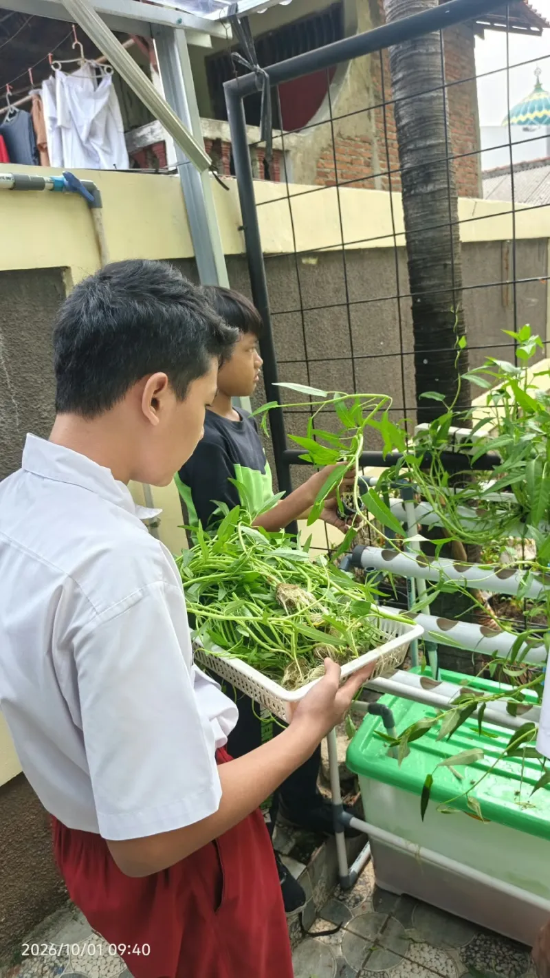 Lahan Urban Farming SDN Lenteng Agung 07 Jakarta - Gambar 34