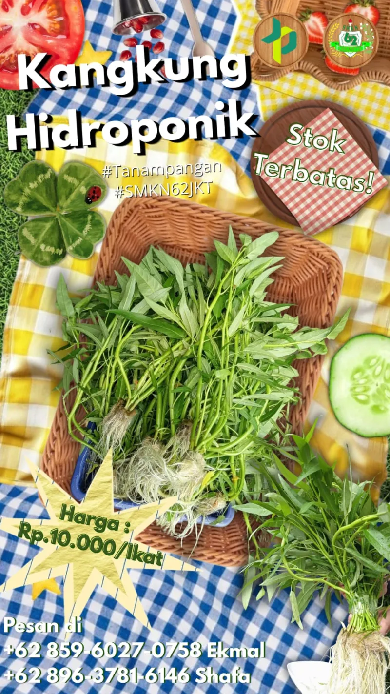 Lahan Urban Farming SMKN 62 Jakarta - Gambar 37