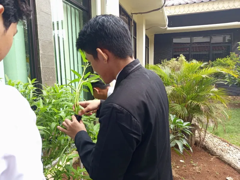 Lahan Urban Farming SMKN 62 Jakarta - Gambar 35