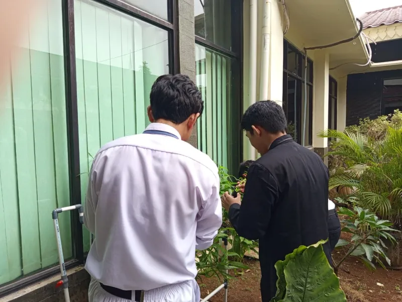 Lahan Urban Farming SMKN 62 Jakarta - Gambar 36