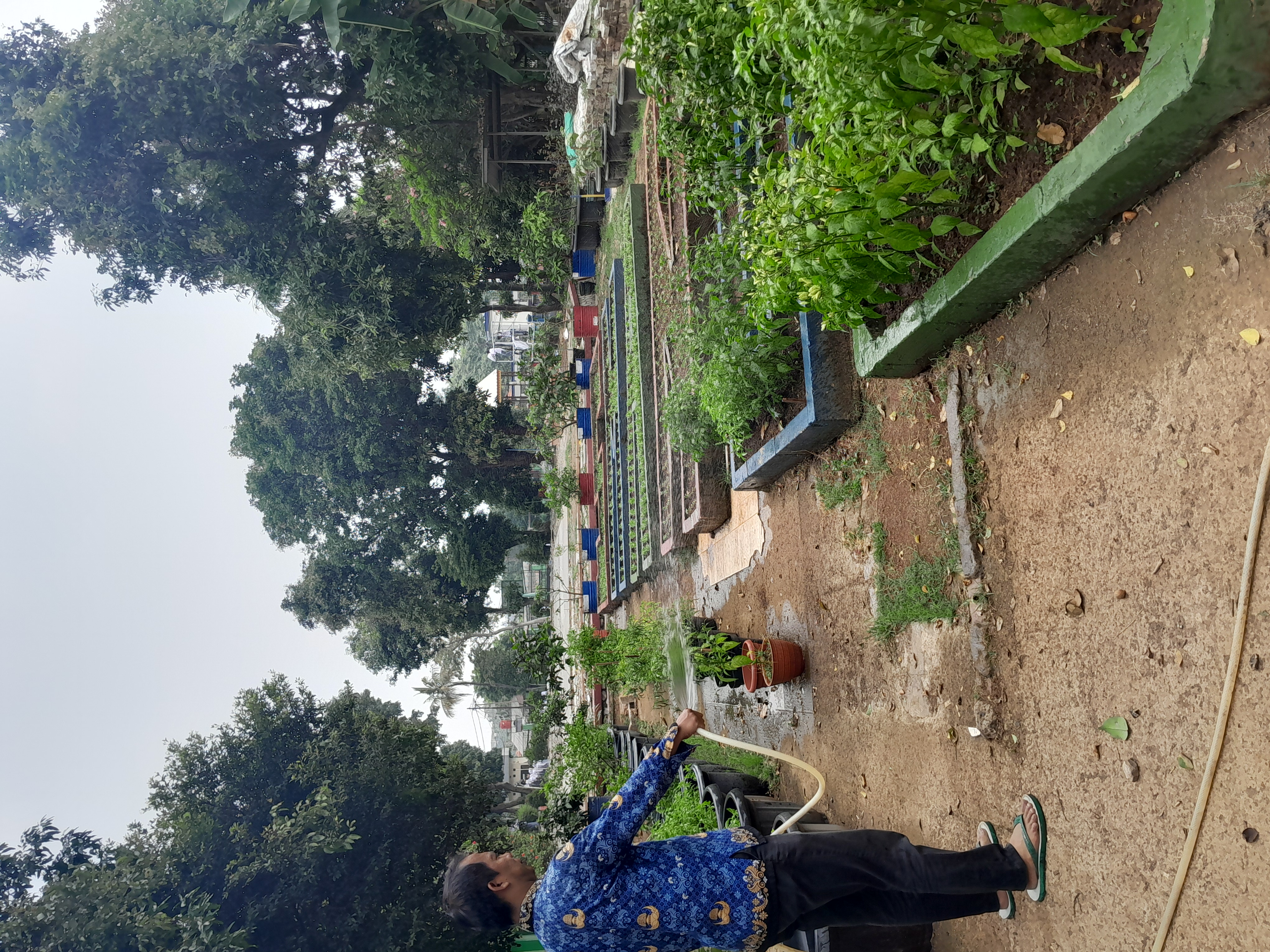 Lahan Urban Farming SMAN 109 Jakarta - Gambar 89