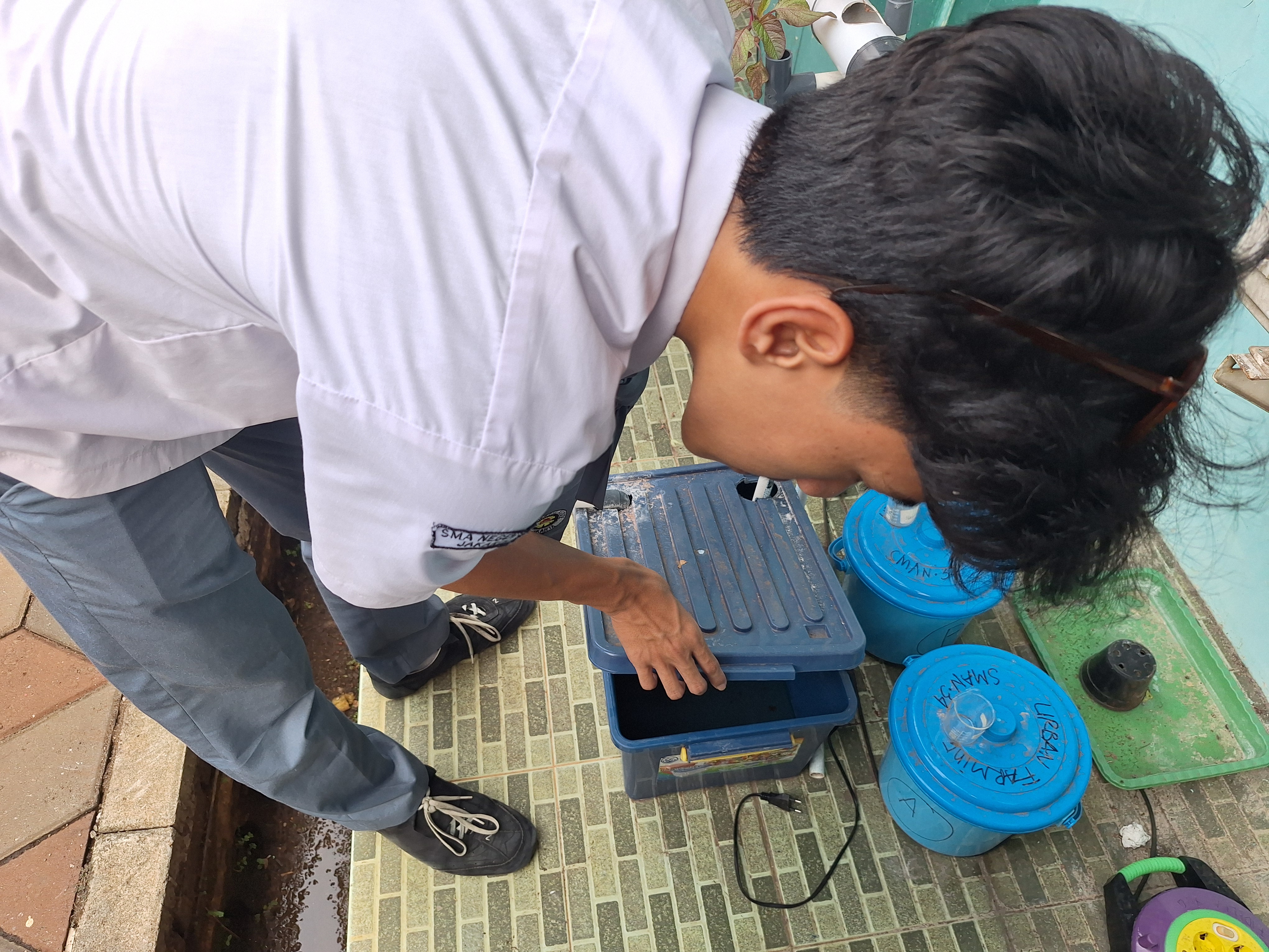 Lahan Urban Farming SMAN 34 Jakarta - Gambar 19