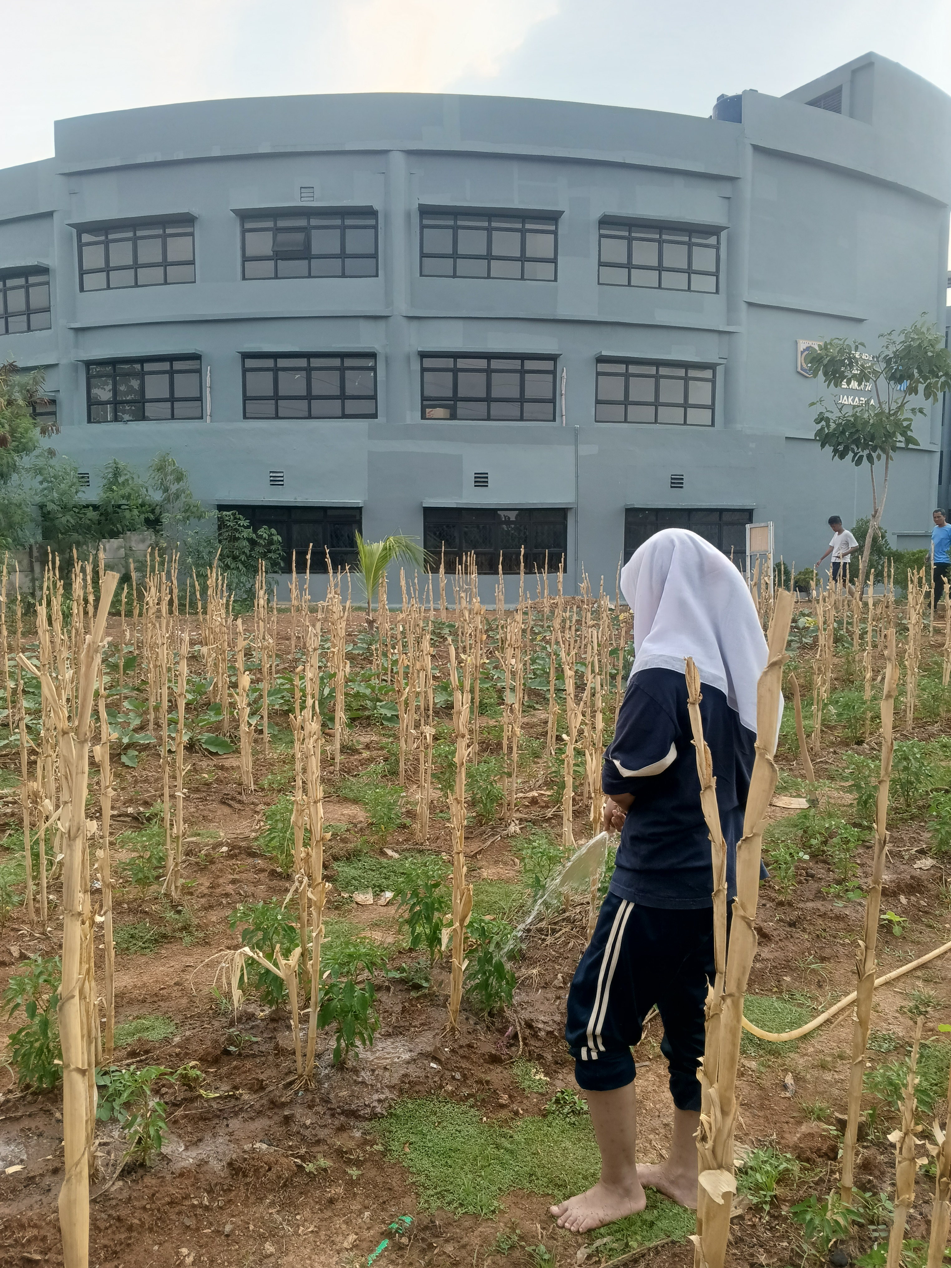 KEBUN SMKN 74 JAGAKARSA JAKARTA SELATAN - Gambar 135