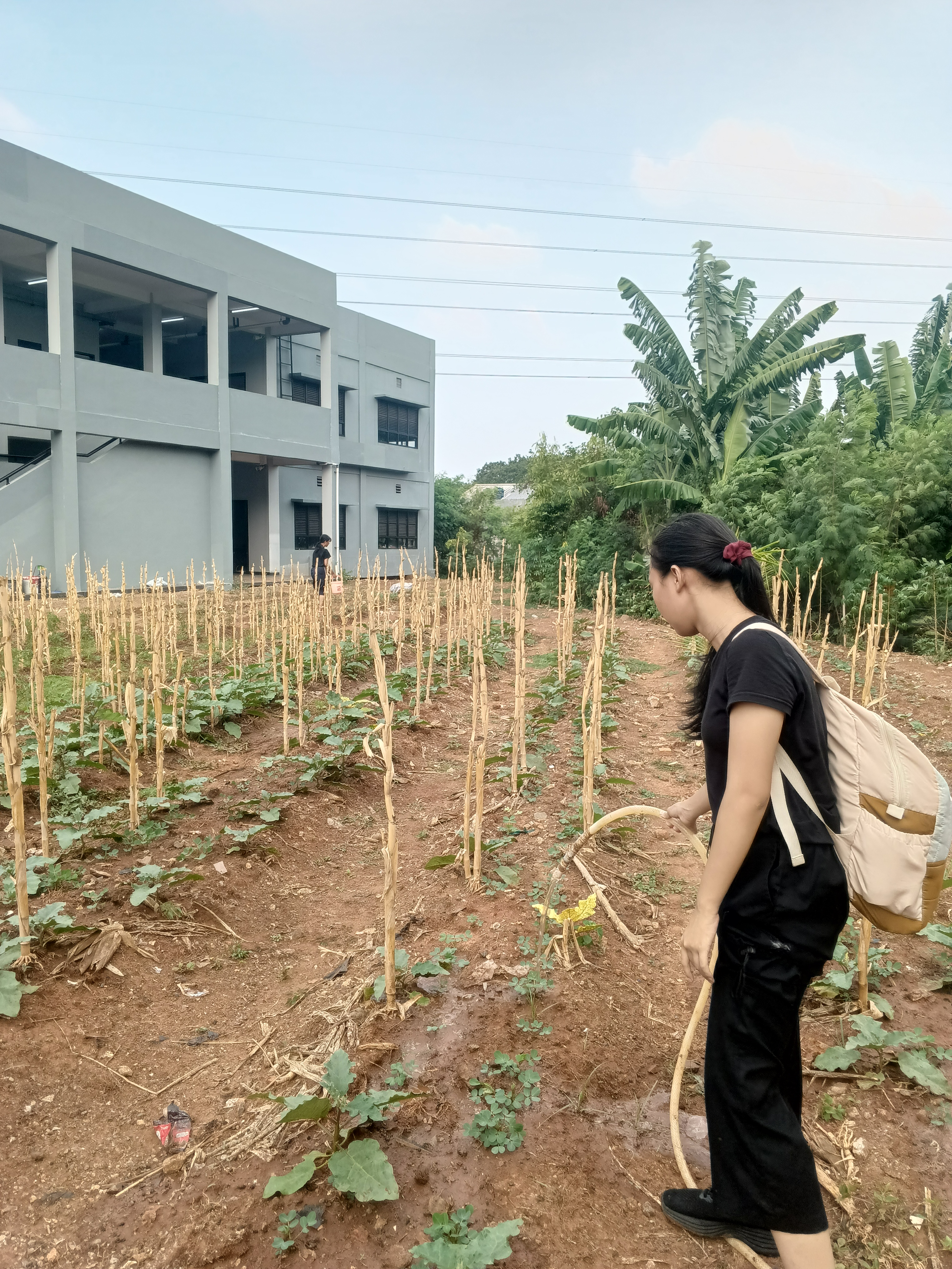 KEBUN SMKN 74 JAGAKARSA JAKARTA SELATAN - Gambar 133