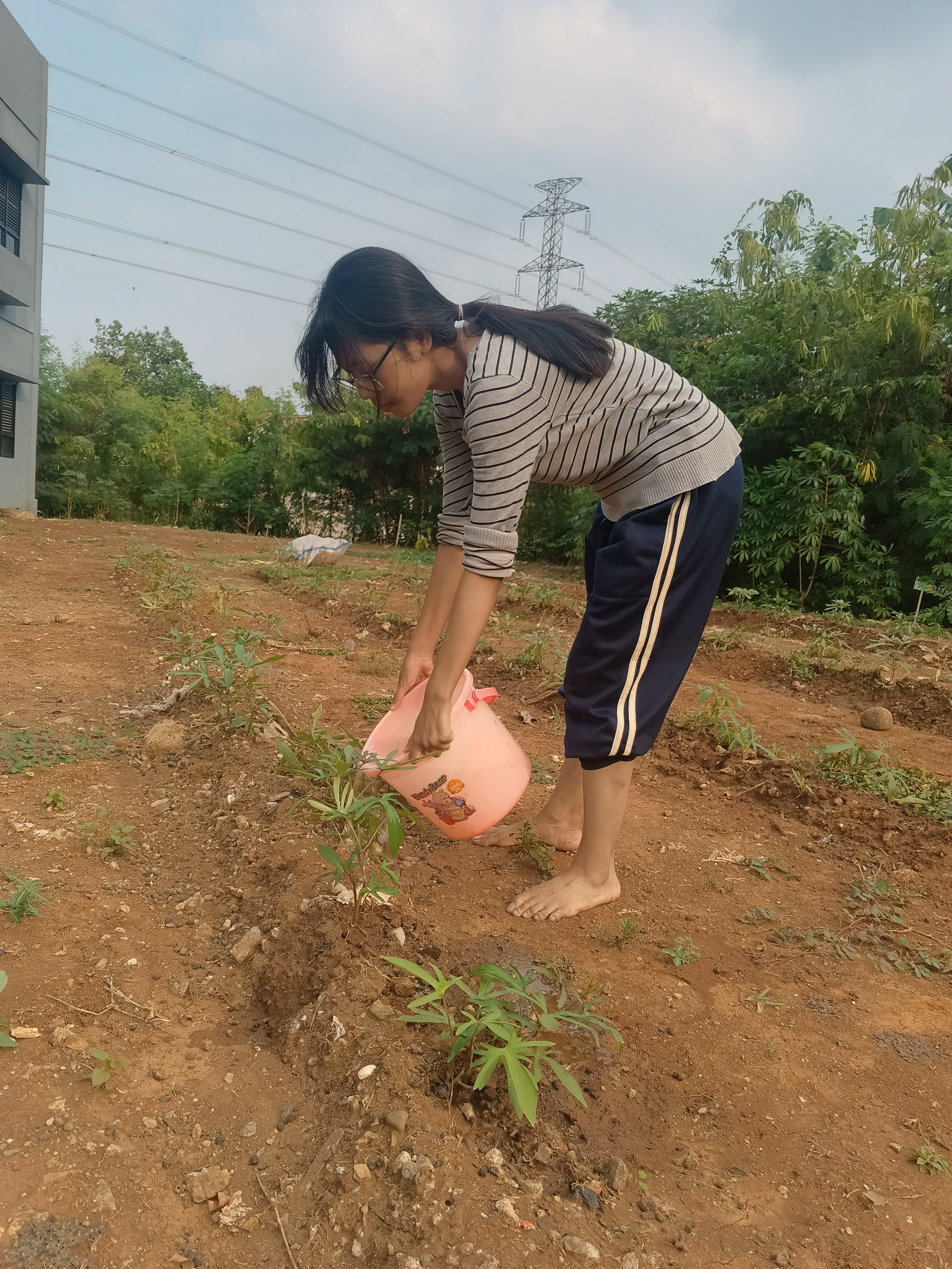 KEBUN SMKN 74 JAGAKARSA JAKARTA SELATAN - Gambar 131