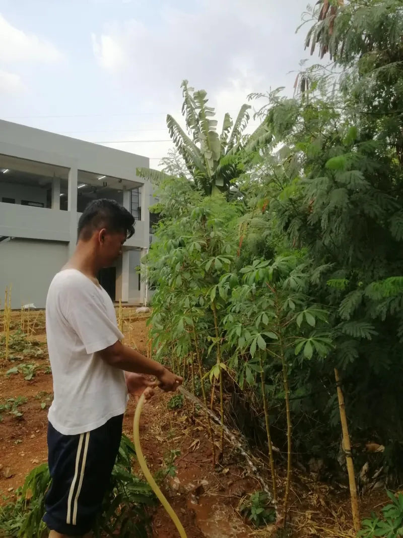 KEBUN SMKN 74 JAGAKARSA JAKARTA SELATAN - Gambar 130