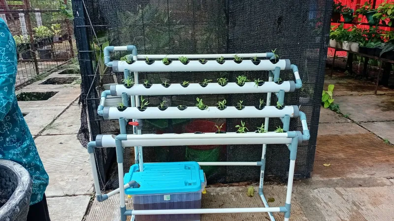 Lahan Urban Farming SMAN 109 Jakarta - Gambar 86