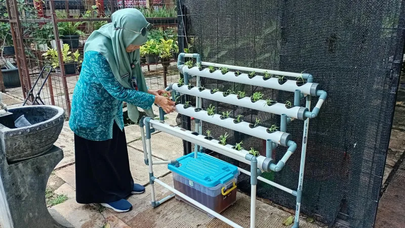 Lahan Urban Farming SMAN 109 Jakarta - Gambar 88