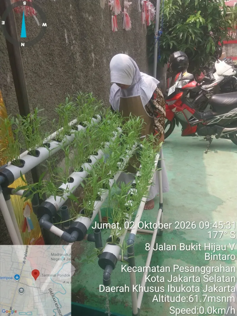 Lahan Urban Farming SDN Bintaro 09 - Gambar 57