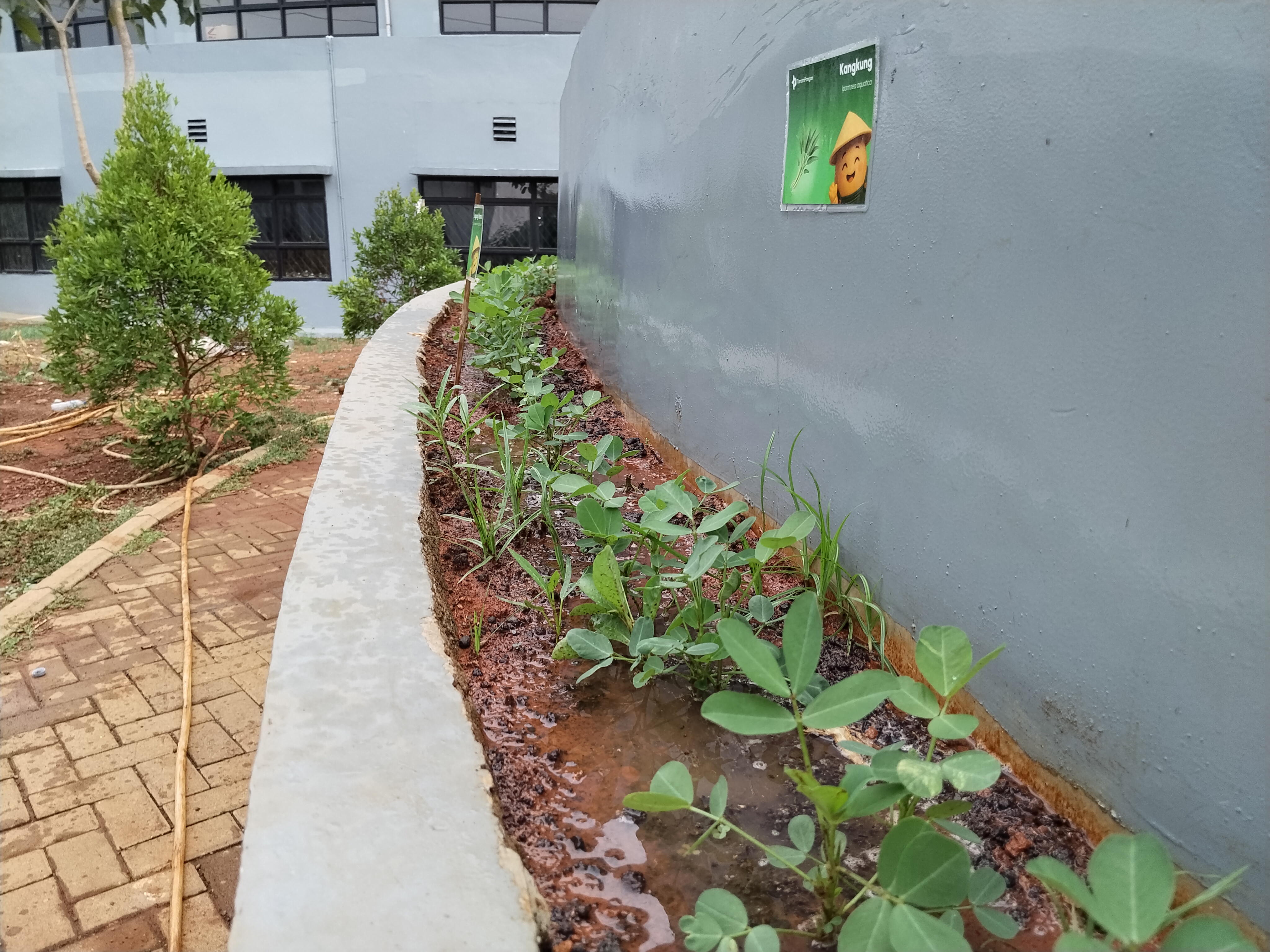 KEBUN SMKN 74 JAGAKARSA JAKARTA SELATAN - Gambar 123