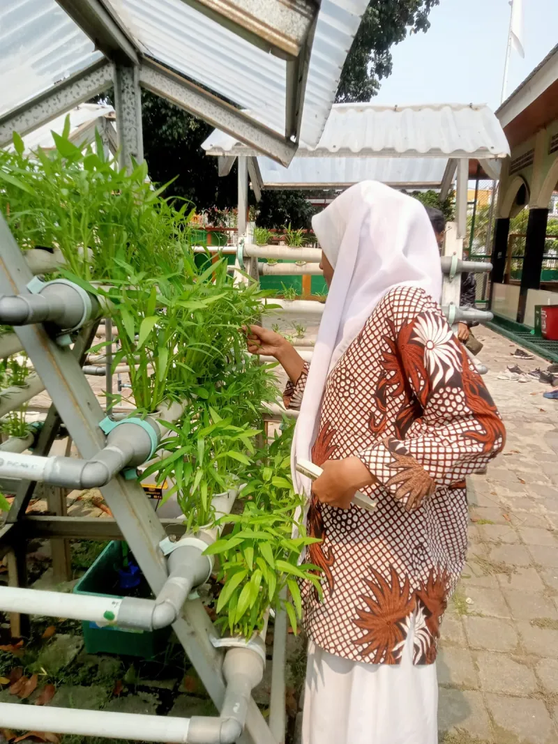 Lahan Urban Farming SMKN 59 Jakarta - Gambar 93