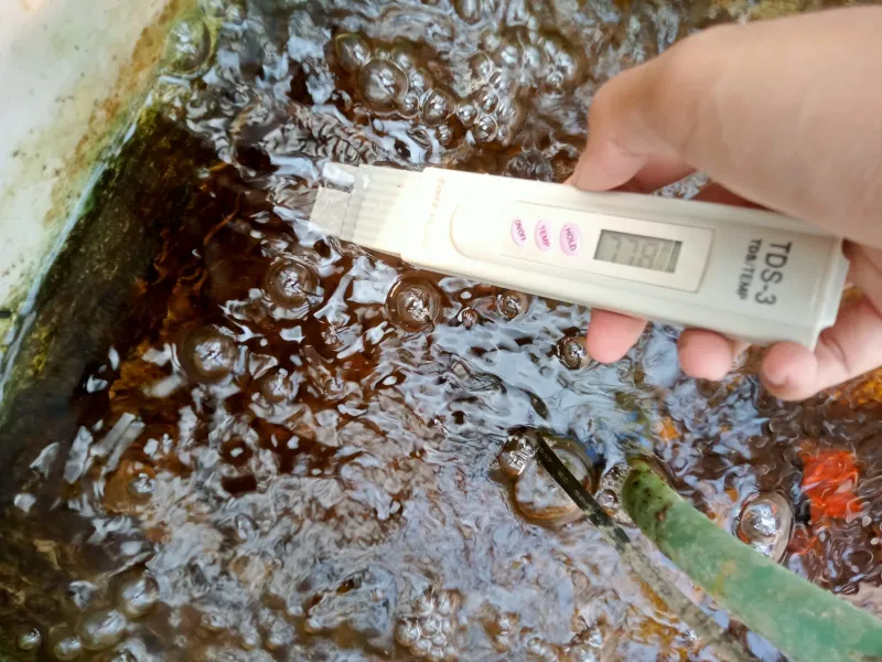 Lahan Urban Farming SMKN 59 Jakarta - Gambar 94