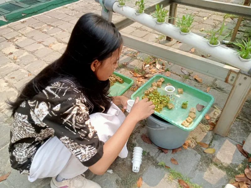 Lahan Urban Farming SMKN 59 Jakarta - Gambar 91
