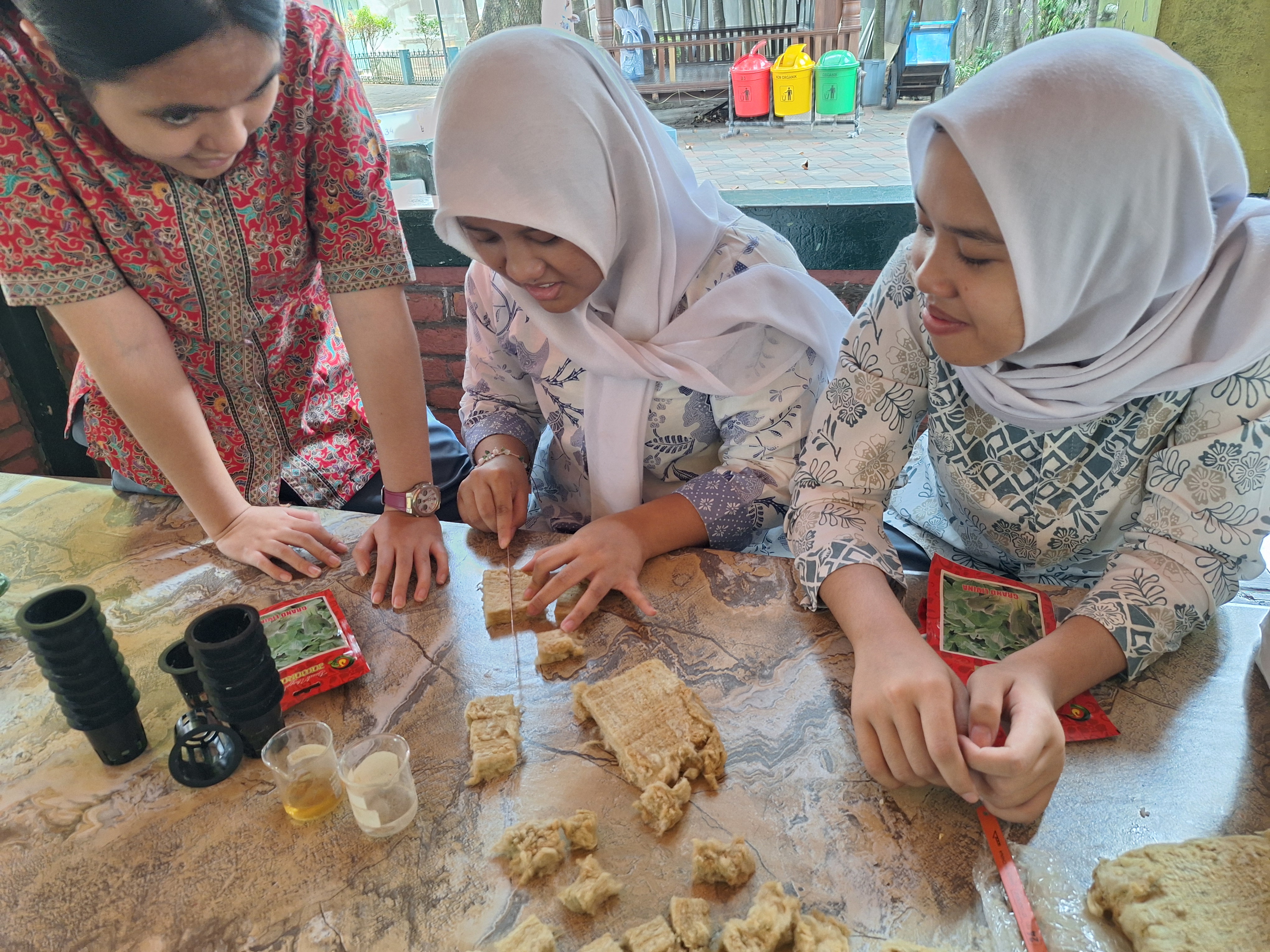 Lahan Urban Farming SMAN 34 Jakarta - Gambar 18