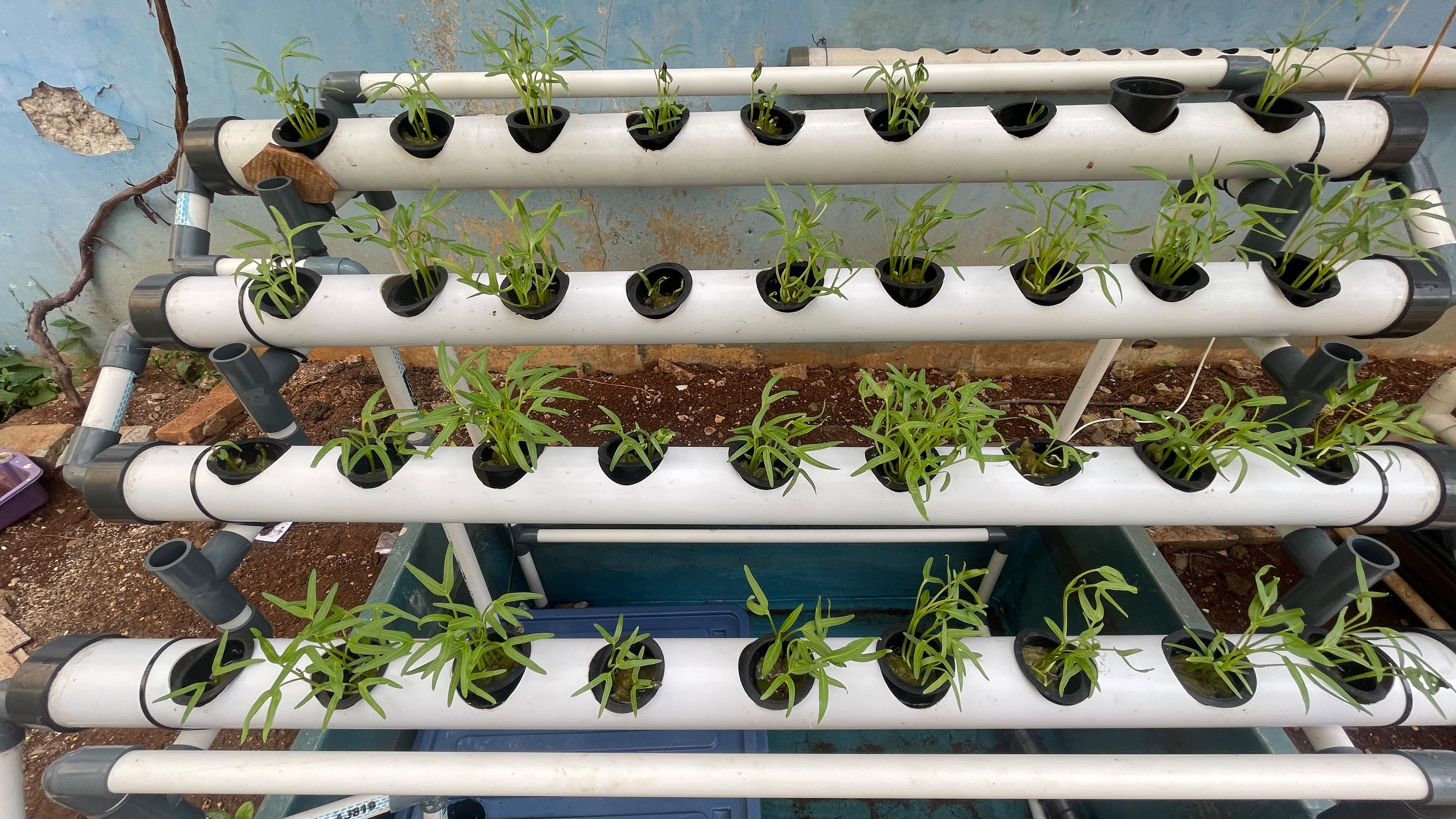 Lahan Urban Farming SLBN 01 Lebak Bulus - Gambar 28