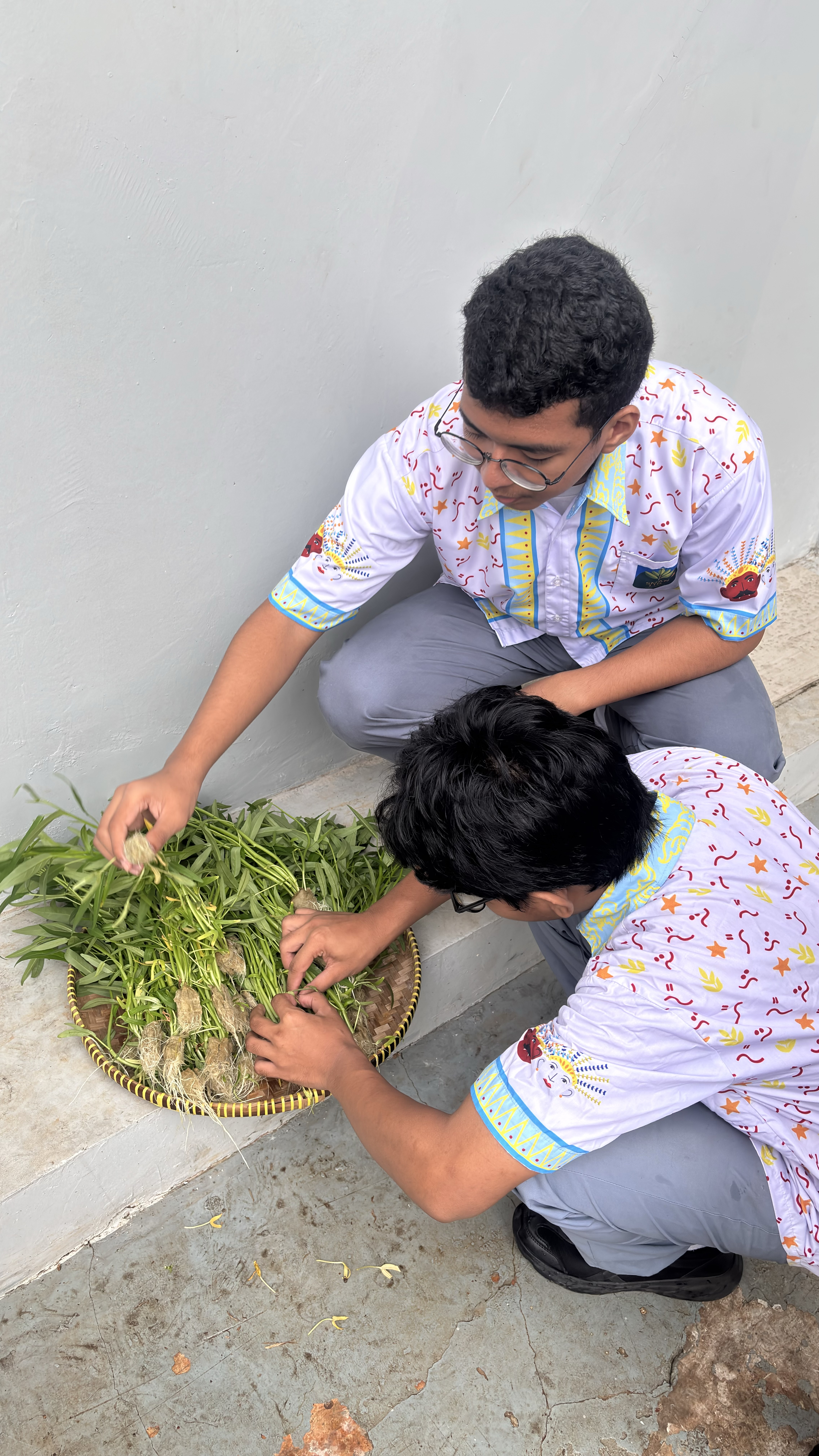 Lahan Urban Farming SMAN 116 Jakarta - Gambar 49