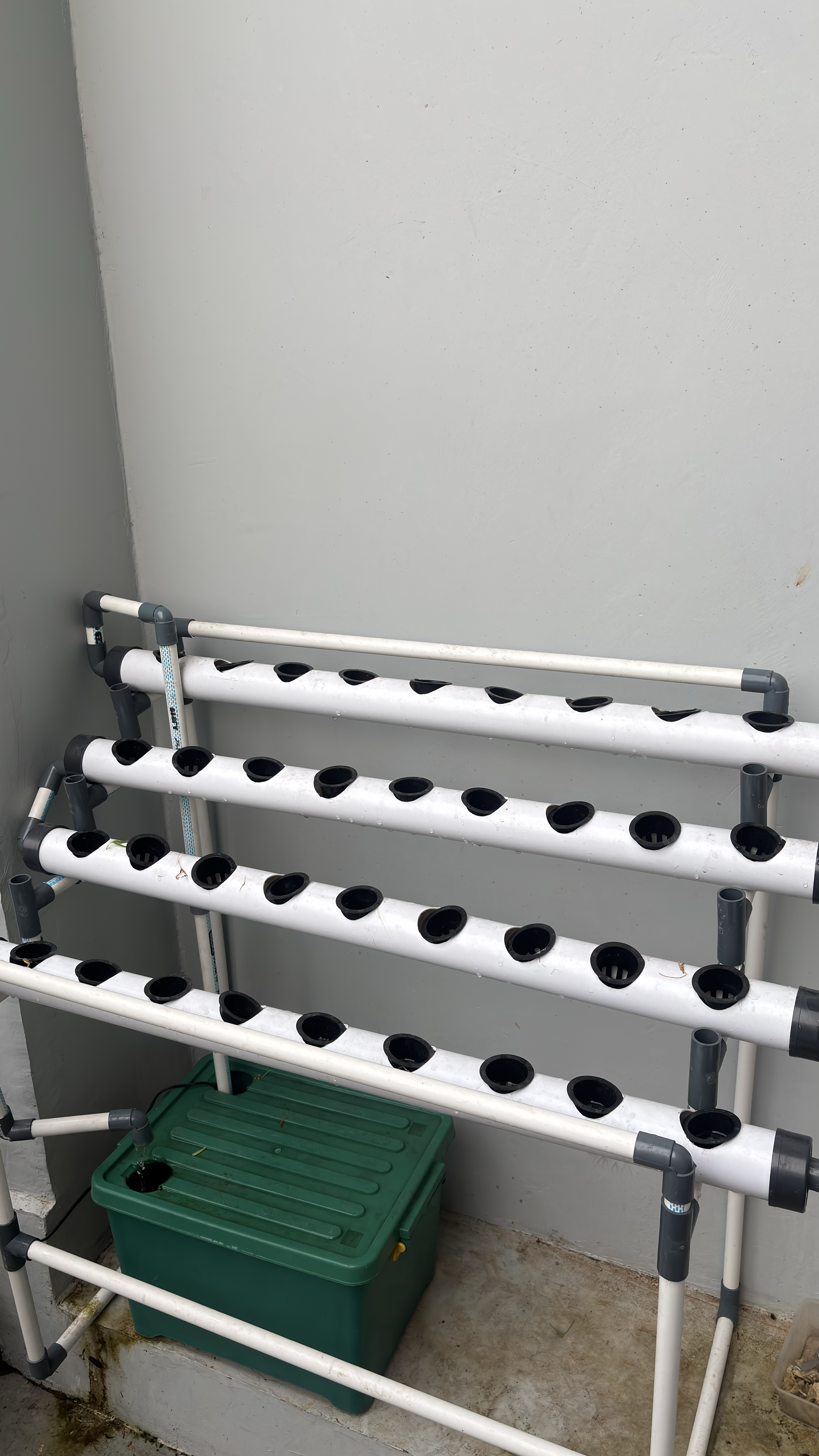 Lahan Urban Farming SMAN 116 Jakarta - Gambar 48