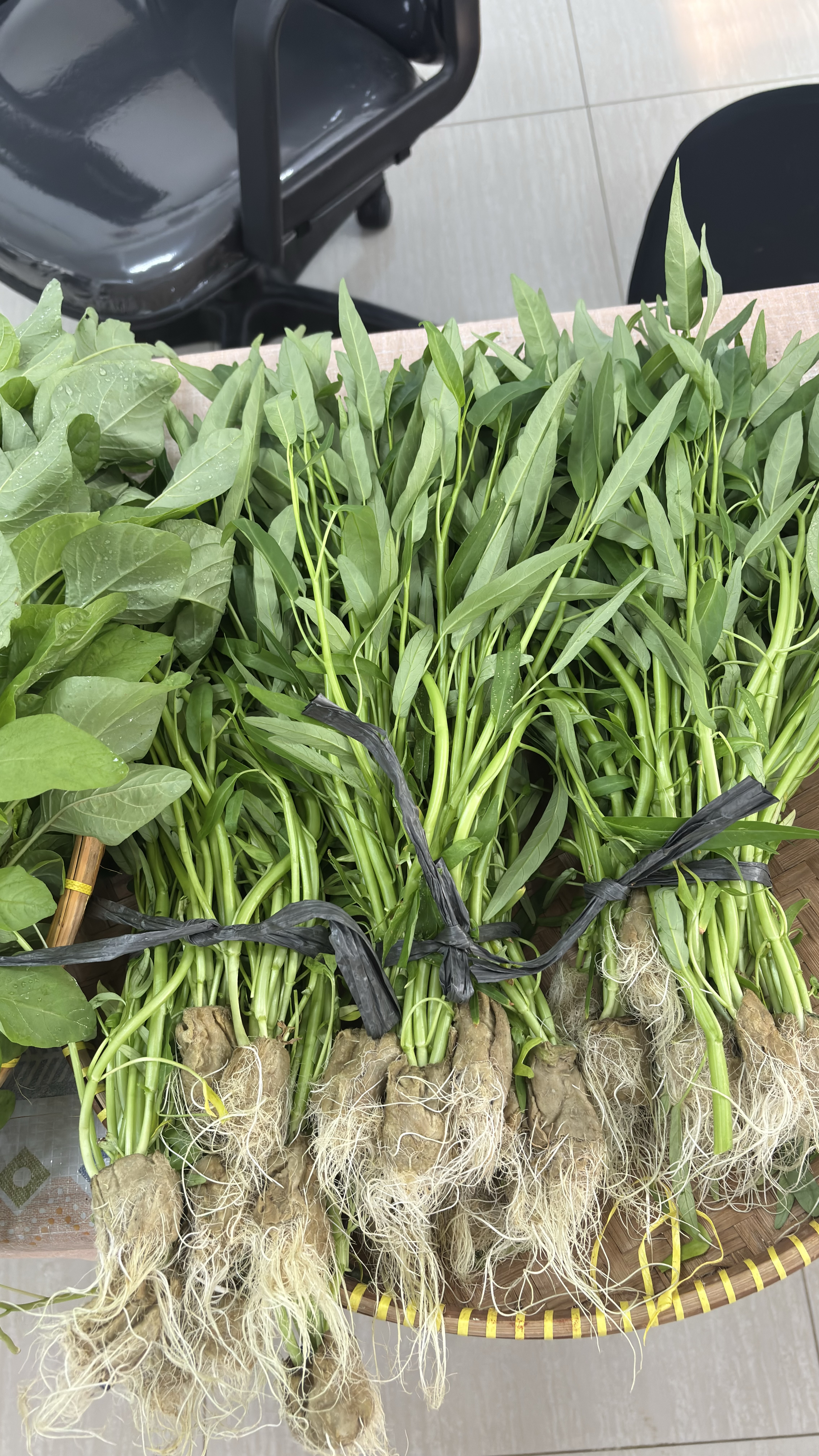 Lahan Urban Farming SMAN 116 Jakarta - Gambar 51