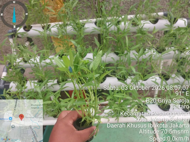 Lahan Urban Farming SDN Bintaro 09 - Gambar 54